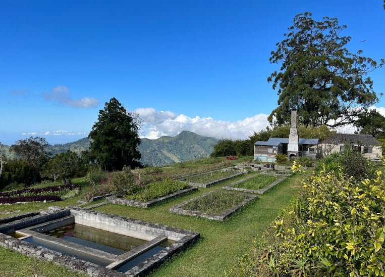 Cinchona Botanical Gardens JA, Jamaica